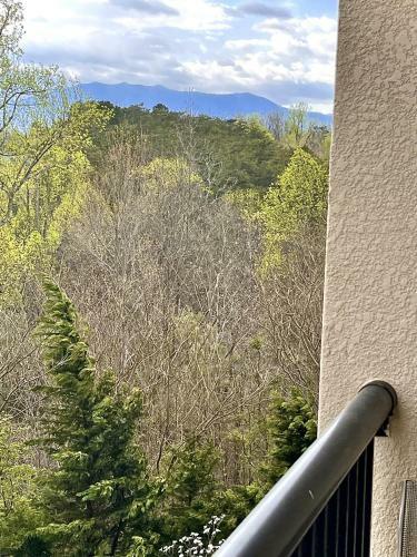 Apartamento Mvc - Unit 5405 - The Wildernest