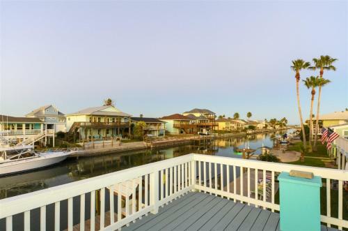 Dolphin Paradise