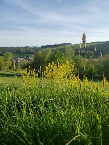 Apartamento Sonnen Panorama - Abenteurer Und Weltentdecker