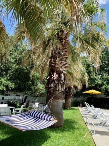Apartamento Vivant - 1br - Soco Chic Apts Close To Downtown