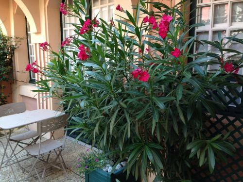 Apartamento R�sidence Le Coueyla