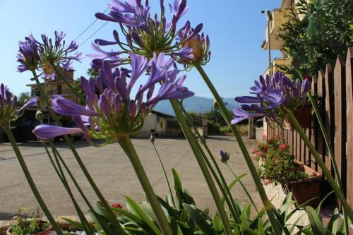 B&B La Vigna