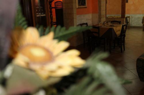 B&B La Vigna