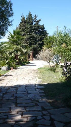 B&B Asparano