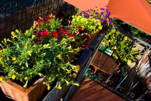 Agroturismo Fattoria Di Camporomano