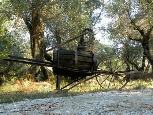 Agroturismo Fattoria Di Camporomano