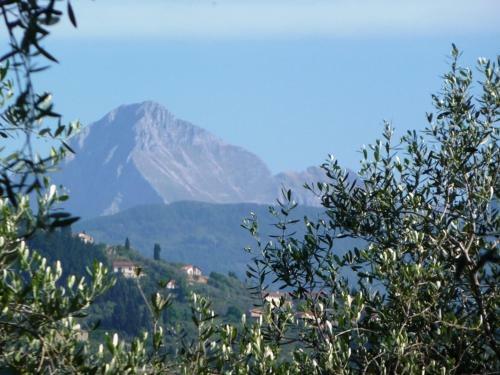 Agroturismo Fattoria Di Camporomano