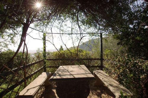 Agroturismo Fattoria Di Camporomano