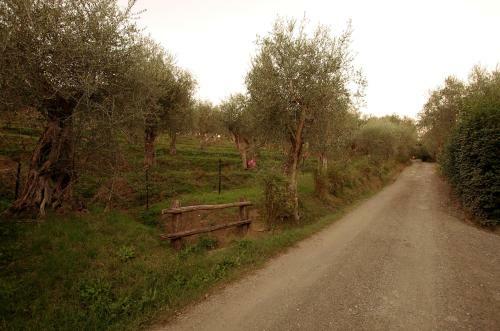 Agroturismo Fattoria Di Camporomano