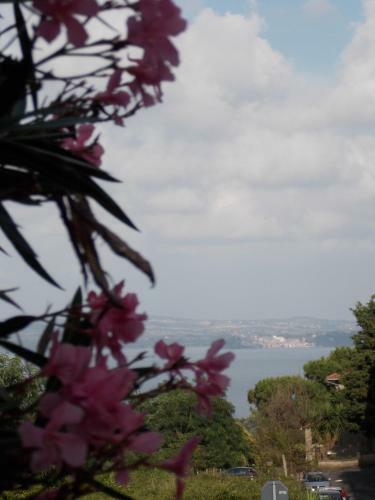 Bella Di Casa Garden