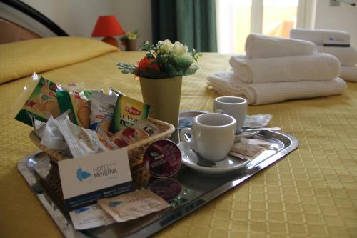 Hotel Minerva