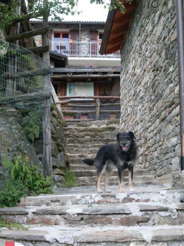 Agroturismo Agriturismo Da Attilio