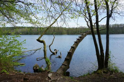 Apartamento Ferienwohnung Mit Seeblick Und Strand
