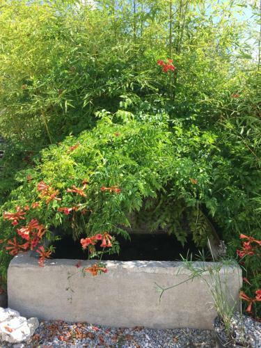 Apartamento Charmant Gite En Pierre, Samadhi Chez Satori Et Sargam