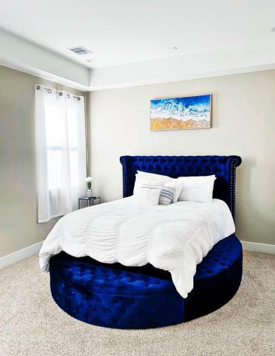 Modern Style Relaxation In Houston, Texas