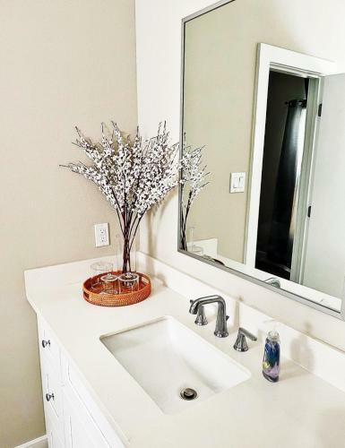 Modern Style Relaxation In Houston, Texas