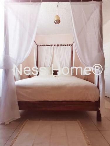 Ness Home