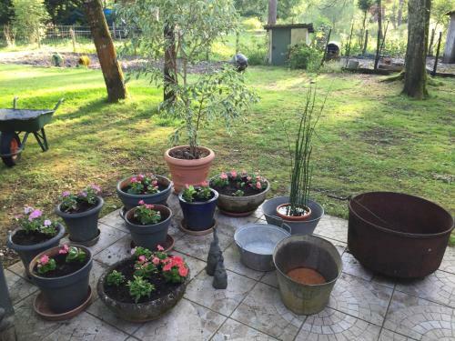 Bed & Breakfast Le Nid