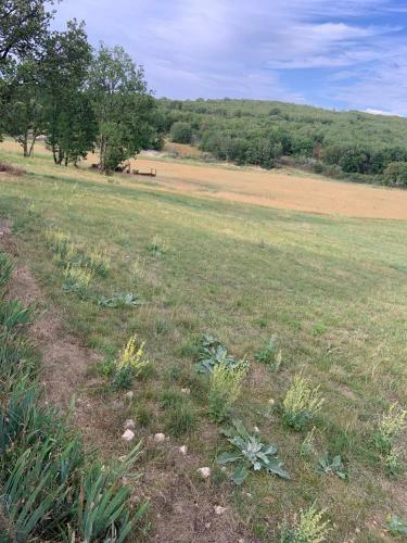 Gite Du Domaine Du Mas De Pag�s