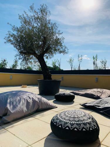 Apartamento La Terrasse Du Parc