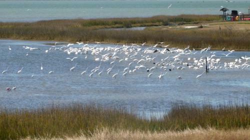 Apartamento Birds I View - The Villas C4