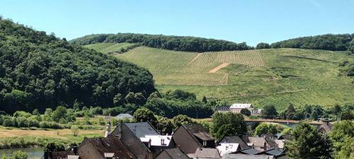 Apartamento Buergerhaus Zeltingen Fewo