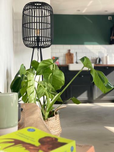 Apartamento Skandi H�tte Mit Sauna