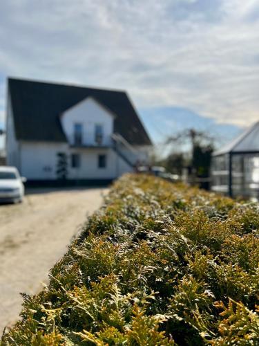 Apartamento Haus St�rtebeker No.4