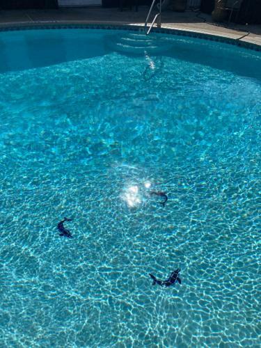 Apartamento Belles Sea Inn