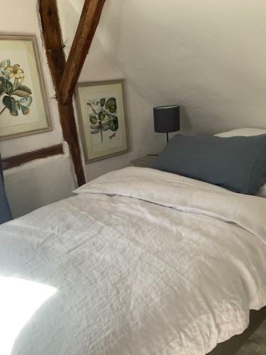 Nibelungen Premium Cottage