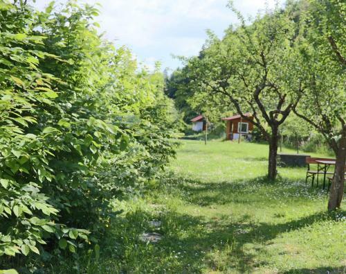 Apartamento Belchenblick 1