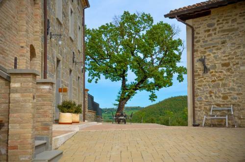 Agroturismo Borgo Santa Cecilia