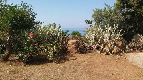 Hostal Villa La Rosa