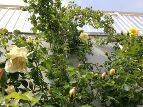 Bed & Breakfast Gioia In Collina