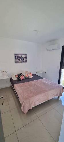 Villa Entiere 4 Chambres Marseillan