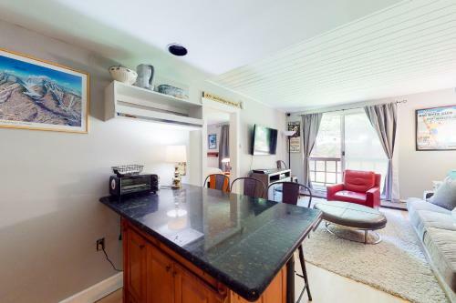 Center Village #203