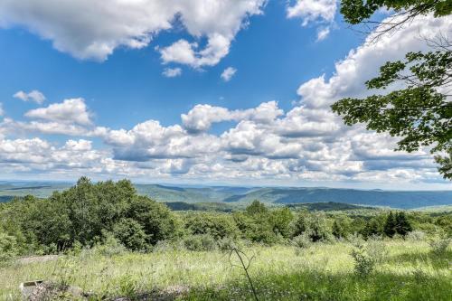 Unbeatable Forest View