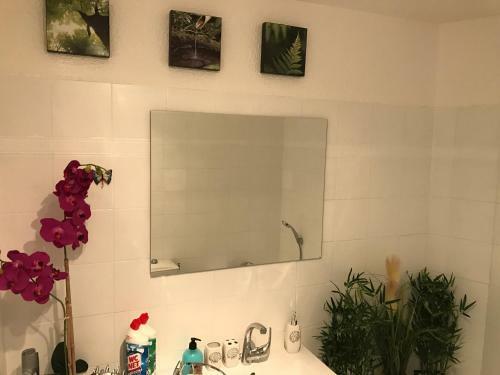 Apartamento Le Botticelli