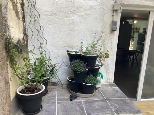 Apartamento Location Vacances