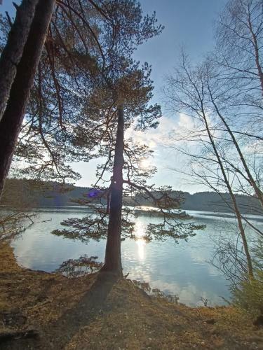 Hostal Base Nature De Malaguet
