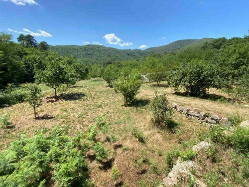 Bed & Breakfast Ch�teau De Blanqueirou, C�vennes, Gastronomie V�g�tale