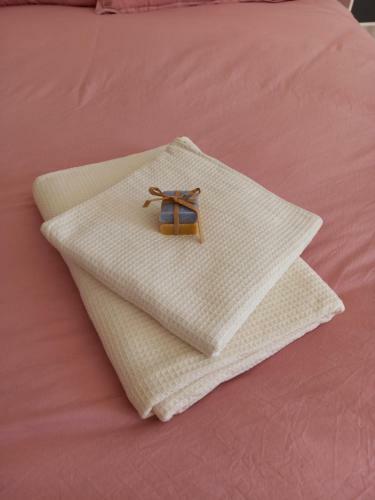 Hostal A Ventoux Yourte