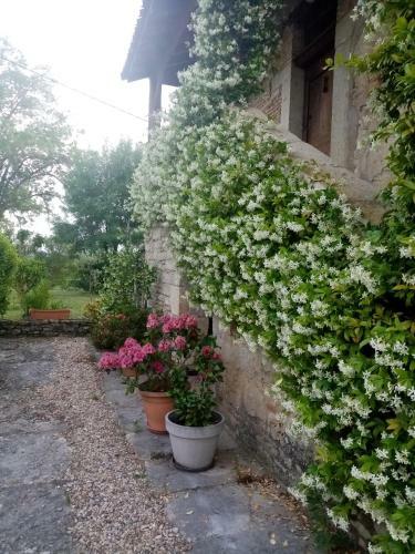 Bed & Breakfast La Maison Du Pech