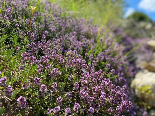 G�te En Haute Provence