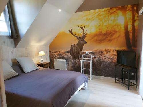 Bed & Breakfast Le Bonheur Des Plumes