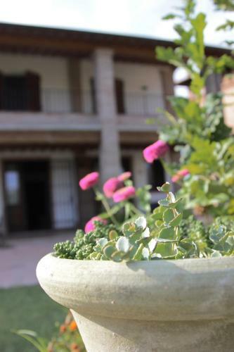 Agroturismo Il Ghiandolino