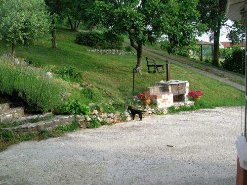 B&B Il Suono Del Bosco