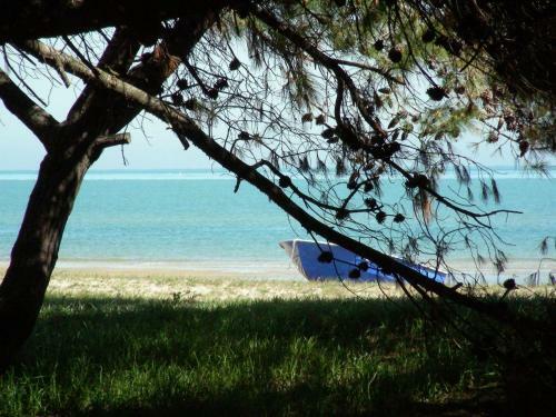 Agroturismo Pier Delle Vigne B&B