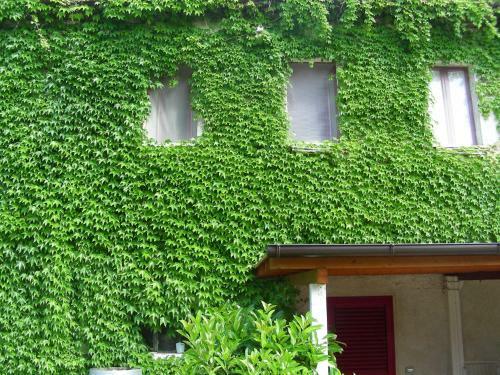 Agroturismo Pier Delle Vigne B&B