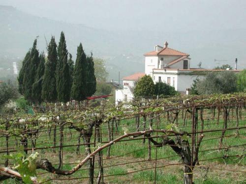 Agroturismo Pier Delle Vigne B&B